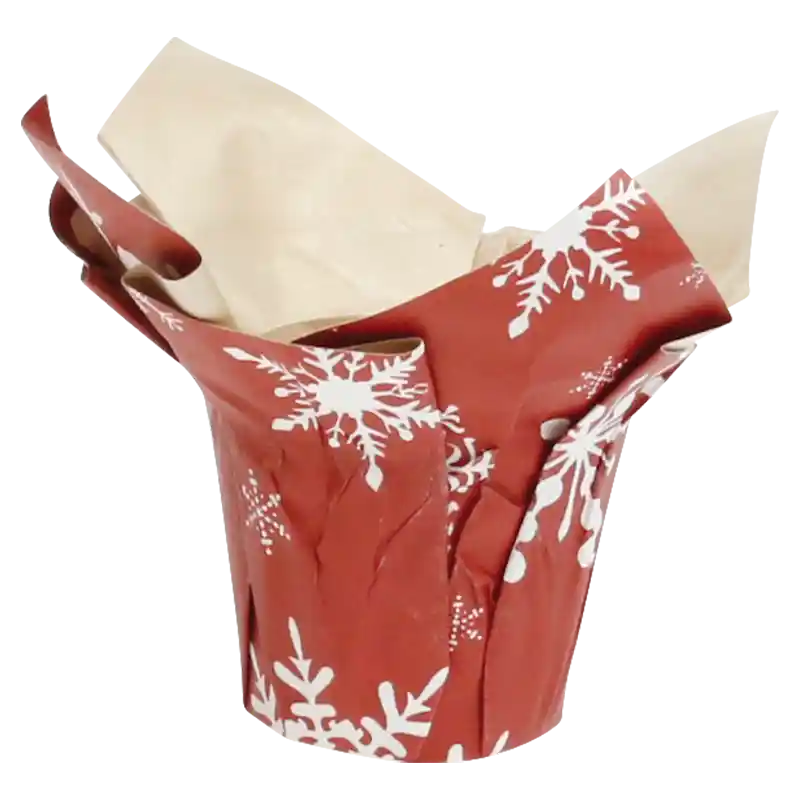 Blumentopf Schneeflocke-878642
