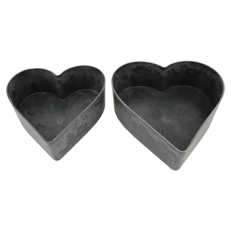 Herzschale S/2